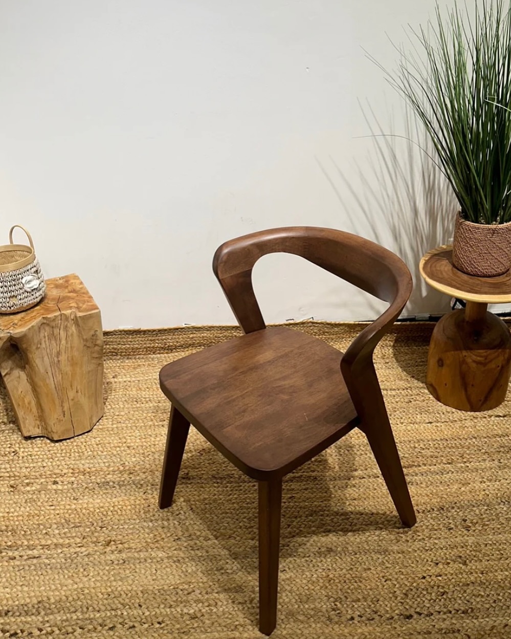 487377972_18219299575294801_2956629801720377624_n