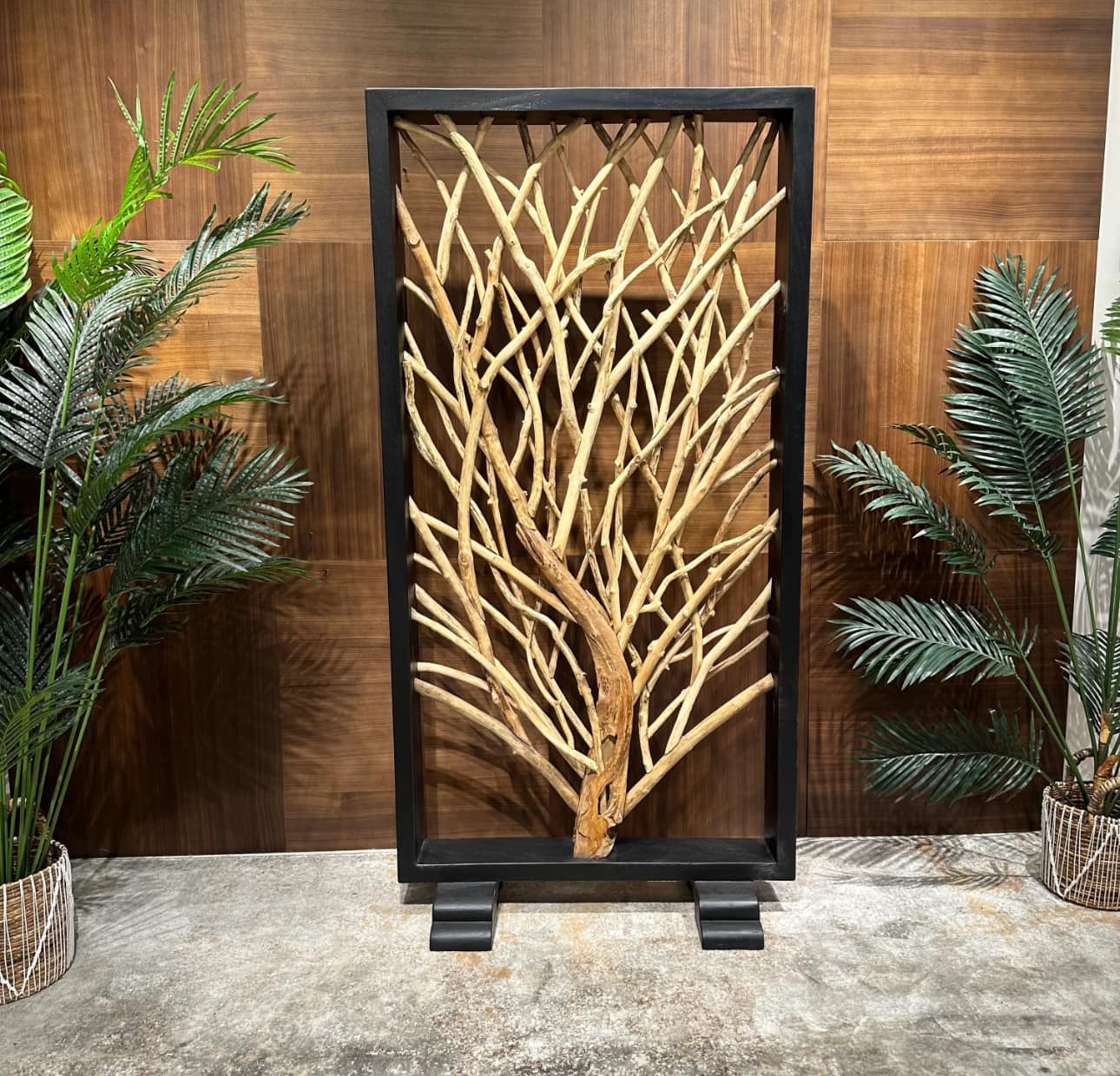 488968445_2122966861501564_5921549082202100406_n