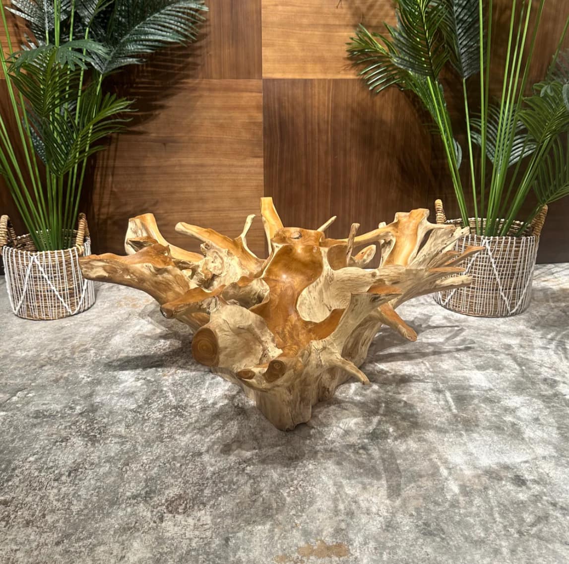 489525839_2122646298200287_245155320468567756_n