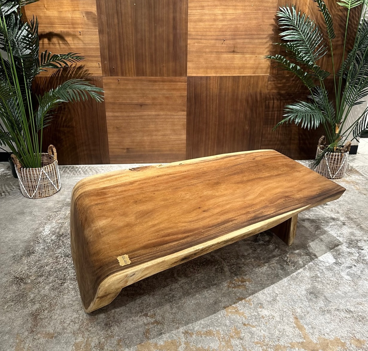 490079146_18220509262294801_6750454801585386404_n